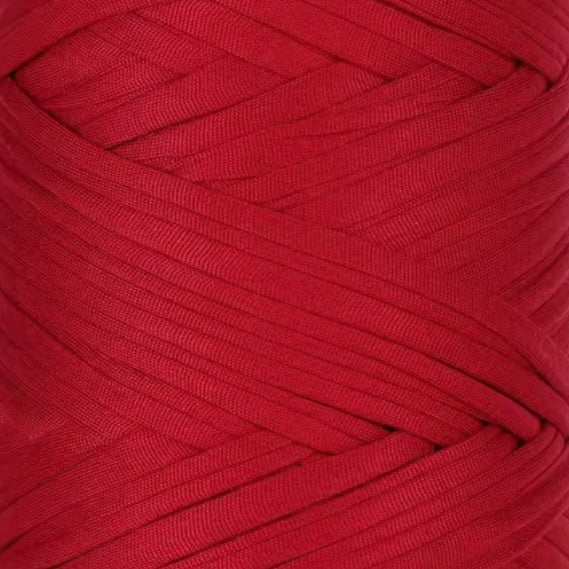 Director’s Cut - Gia T-SHIRT YARN