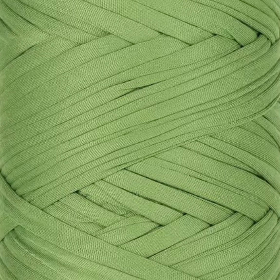 Wicked Matcha - Gia T-SHIRT YARN